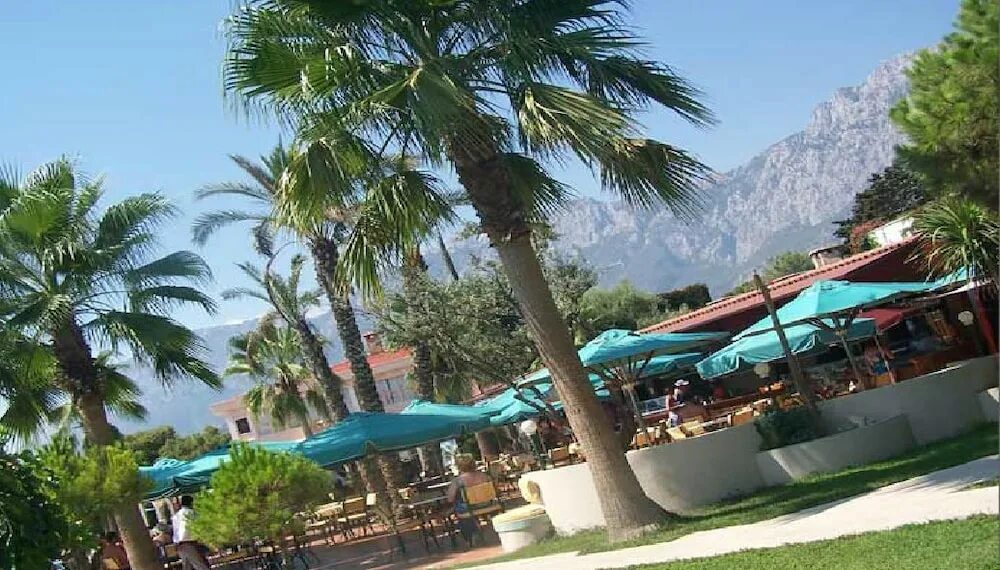 Клуб боран кемер. Club boran mare beach hv-1 турция кемер. боран маре бич кемер бунгало. боран маре бич кемер домики. club boran mare beach 5 пляж.