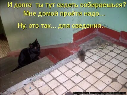 Ну это отсюда