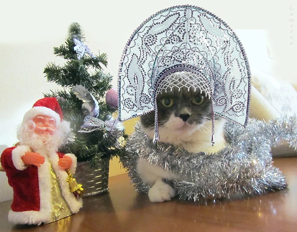 новогодние персонажи. новогодние сказочные персонажи. дед кот мороз снегурочка. дед кот мороз снегурочка. кот в костюме снегурочки.