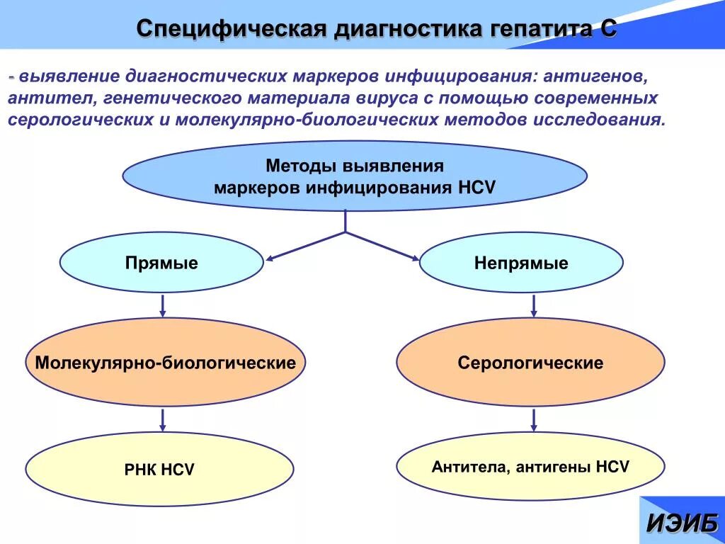 Метод определения гепатита в. Методы диагностики гепатита а. специфические методы диагностики гепатита а. специфические методы диагностики вирусного гепатита с:. диагностика гепатита в.