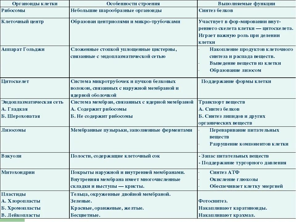 Таблица органоиды клетки строение органоида функции органоида. Таблица эукариотическая клетка строение и функции органоидов. Таблица строение клетки органоиды строение функции. Строение и функции структур клетки таблица. Таблицу органоиды эукариотической клетки