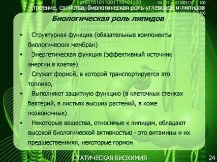 Биологическая роль углеводов и липидов