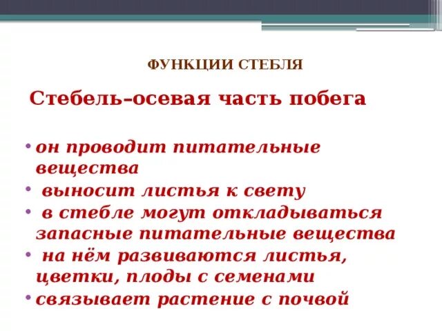 Основные функции стебля. Основные функции стебля растения. Перечислите функции стебля. Основные функции стебля 6 класс. Функции стебля ответ