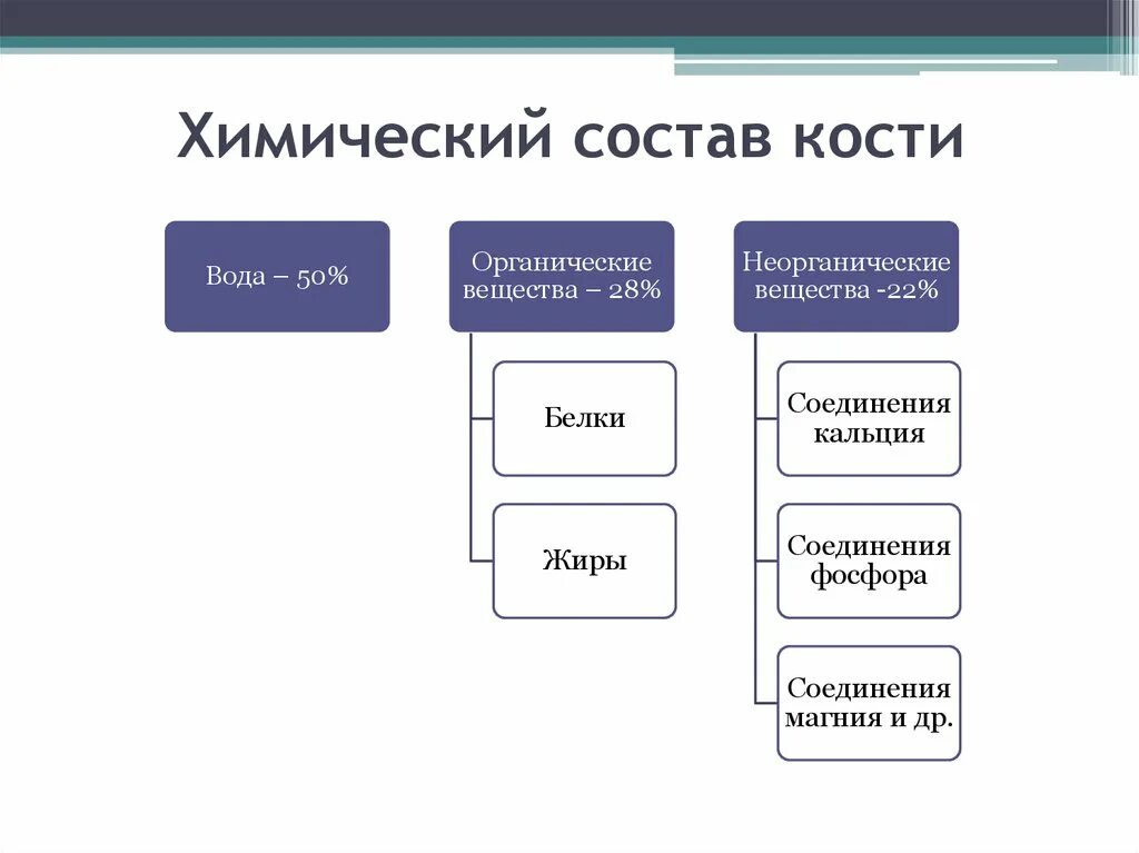 Химический состав кости. Химический состав костей схема. Органические и неорганические вещества кости. Неорганические вещества костей. Химические свойства костей человека