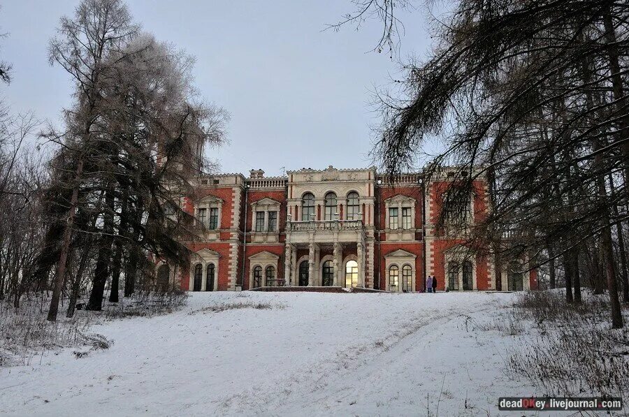 Усадьба Воронцова-Дашкова Жуковский. Быкова усадьба усадьба Быково. Дворец в Быково в Московской области. Усадьба Воронцова-Дашкова Раменский район. Усадьбы раменский район