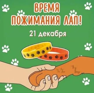 День лапки