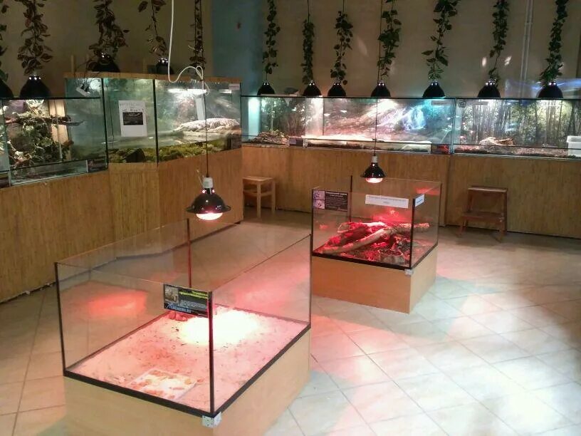 Exomenu на нарвской. Exomenu на нарвской. Гранд каньон зоомагазин. Экзоменю магазин спб. Экзоменю санкт петербург промышленная.