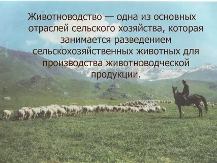 Значение отрасли сельского хозяйства