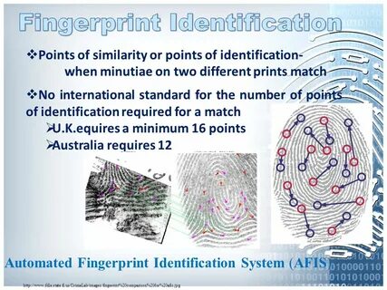 Fingerprint identification