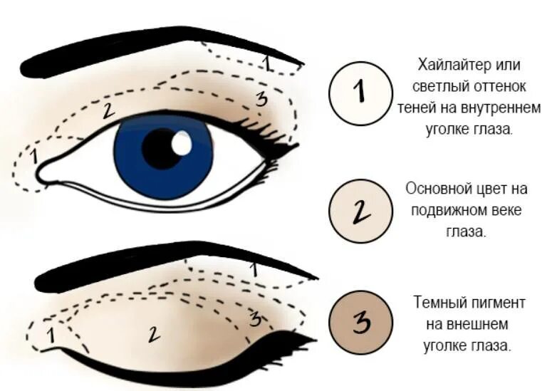 Зона глаз. Схема правильного нанесения теней. Схема нанесения теней Смоки. Классическая схема нанесения теней. Горизонтальная техника макияжа глаз схема.