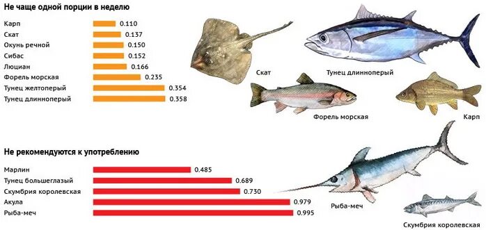 Тунец ртуть. Содержание тяжелых металлов в рыбе таблица. Содержание ртути в рыбе. Рыба тяжёлые металлы таблица. Рыба по содержанию ртути таблица.