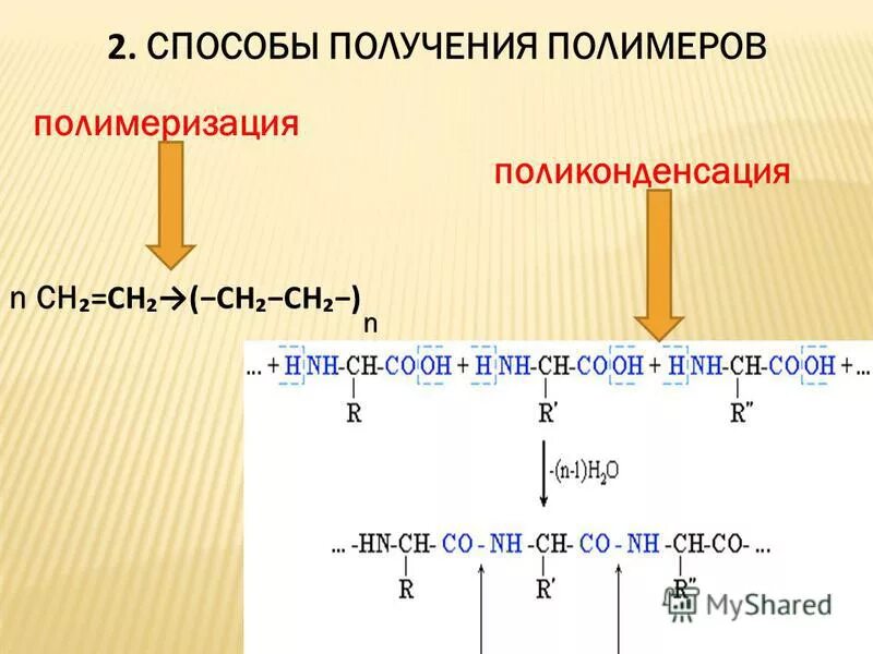 реакция синтеза полимеров реакция полимеризации. полимеры получаемые реакцией полимеризации.