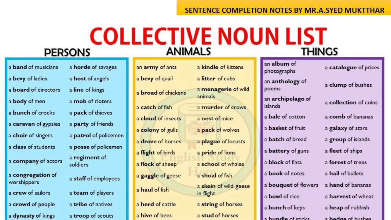 Group Nouns в английском языке. Collective Nouns в английском языке. Collective Nouns animals в английском.