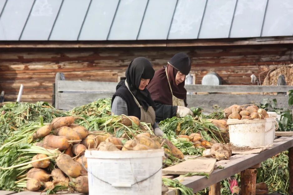 Послушание в монастыре. Огород в монастыре. Монастырь хозяйство. Монастырское послушание. Быт монастыря