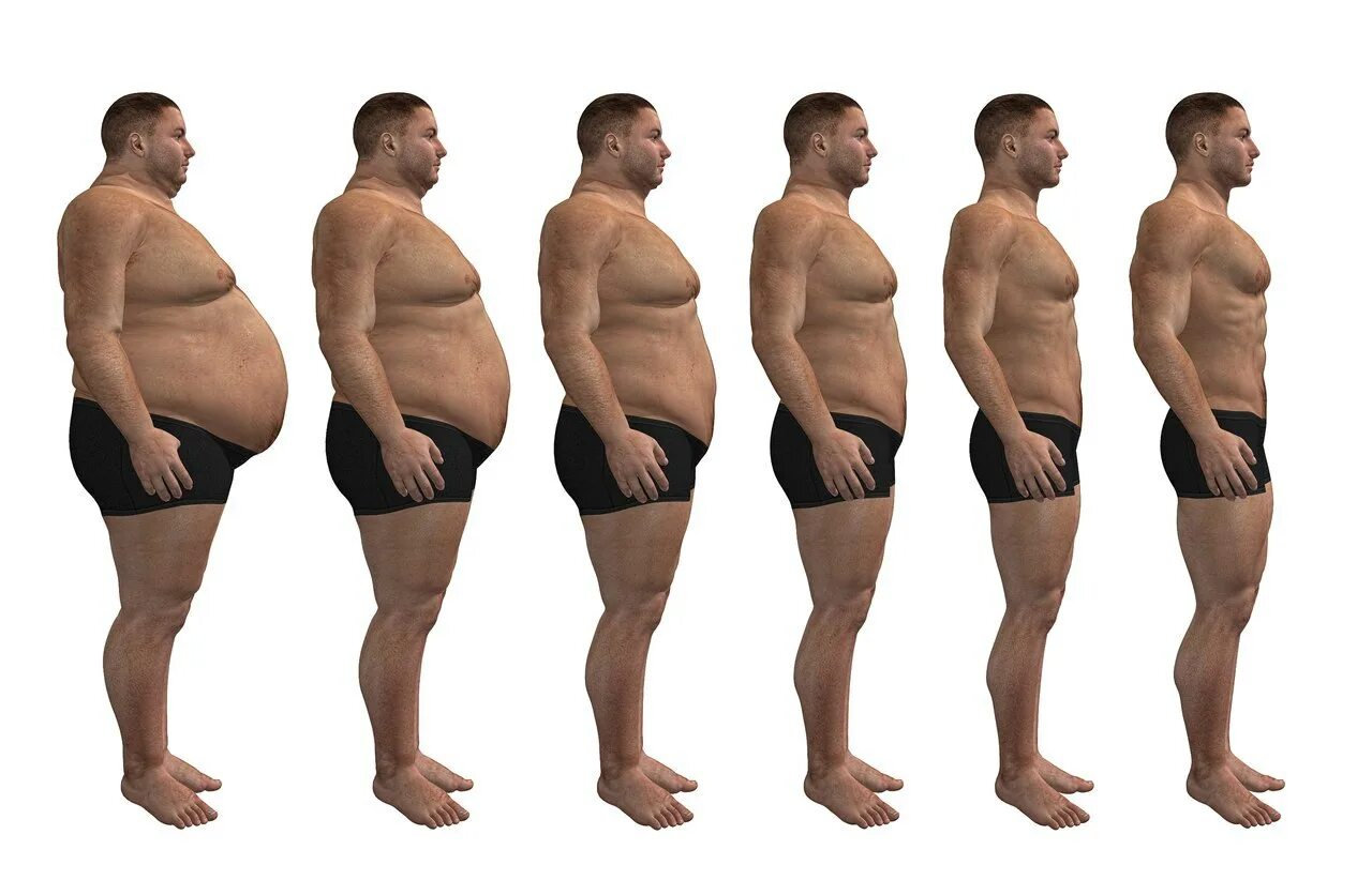 Постепенно измениться. Человек толстеет. Мужское тело с лишним весом. Толстый человек в профиль. Мужская фигура с животом.
