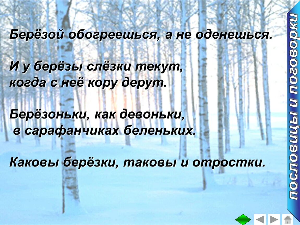 Березка однокоренные. Проект о слове береза. И У березы слезки текут когда с нее кору дерут. Какова Березка такова и отростка. Проект рассказ о слове 3 класс береза.