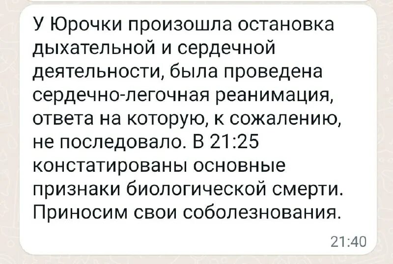 кусочек счастья. кусочек счастья в руках. кусочек счастья для бездомной отзывы. кусочек счастья для бездомной кошки. кусочек счастья для бездомной отзывы.