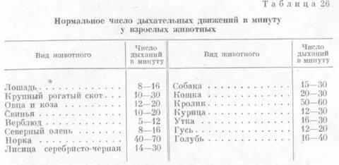 Норма сокращения рубца