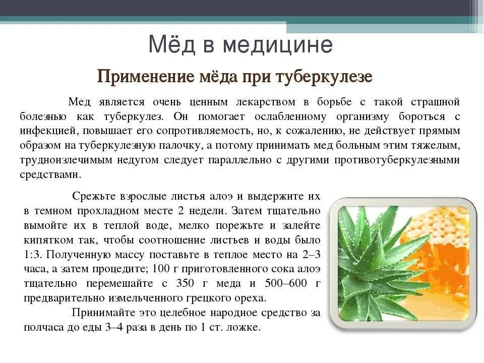 Как приготовить лекарство из алоэ. Алоэ народные средства. Лекарство с алоэ для легких. Народные средства из столетника. Полезные рецепты из столетника.