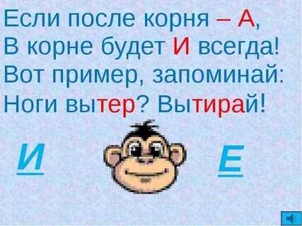 Вытереть корень