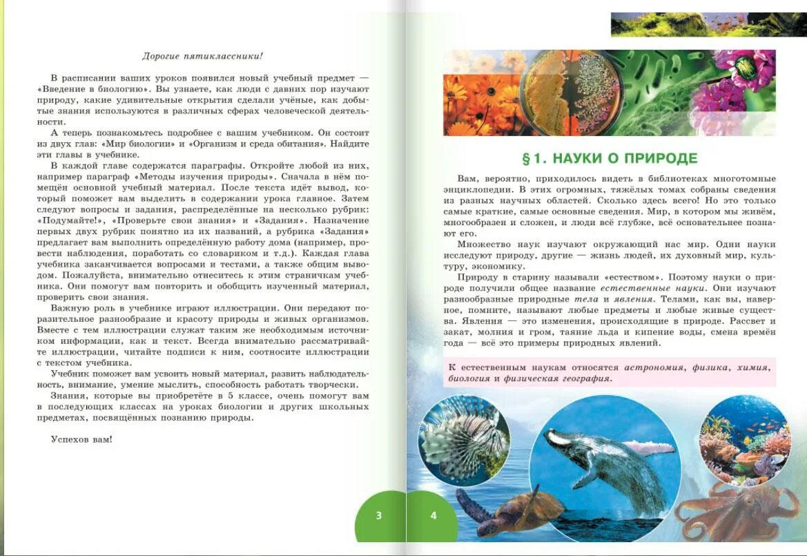 Биология 5 класс учебник Плешаков Введенский. Введение в биологию 5 класс Плешаков. Введение в биологию 5 класс. Биология 5 класс Введение в биологию. Читать учебники 5 класса плешакова