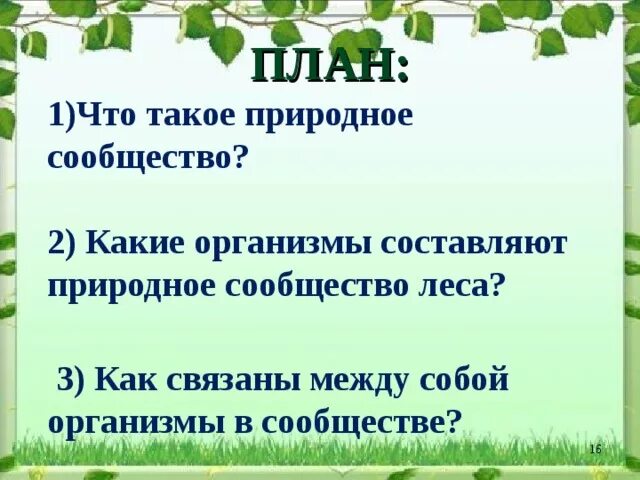 Природное сообщество леса составляют. Какие организме составляют сообщевство. План природного сообщества. Какие организмы составляют сообщество леса. Какие организмы составляют природное сообщество.