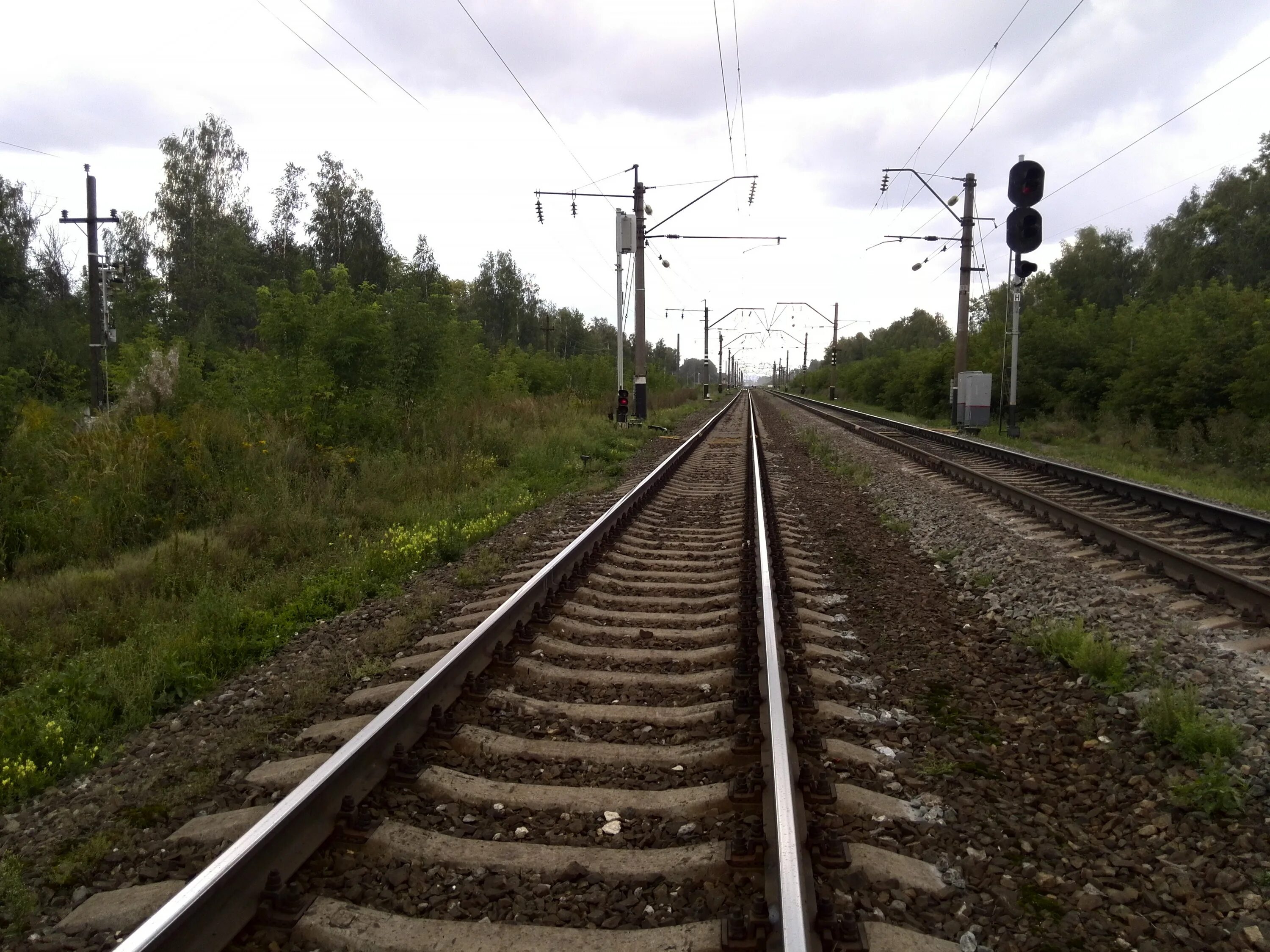 Станция Толоконцево. Станция Толоконцево Нижегородская область. Толоконцево железная дорога. Дорога в Толоконцево.