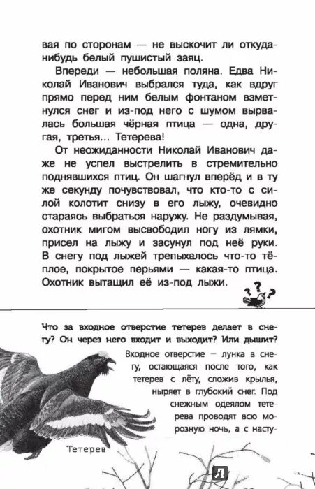 Лесной голосок диктант 4. Текст лесной голосок диктант. Лесной голосок 4 класс. Лесной голосок 4 класс. Лесной голосок задания и ответы.