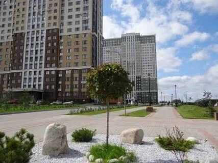Северная компания северная 4
