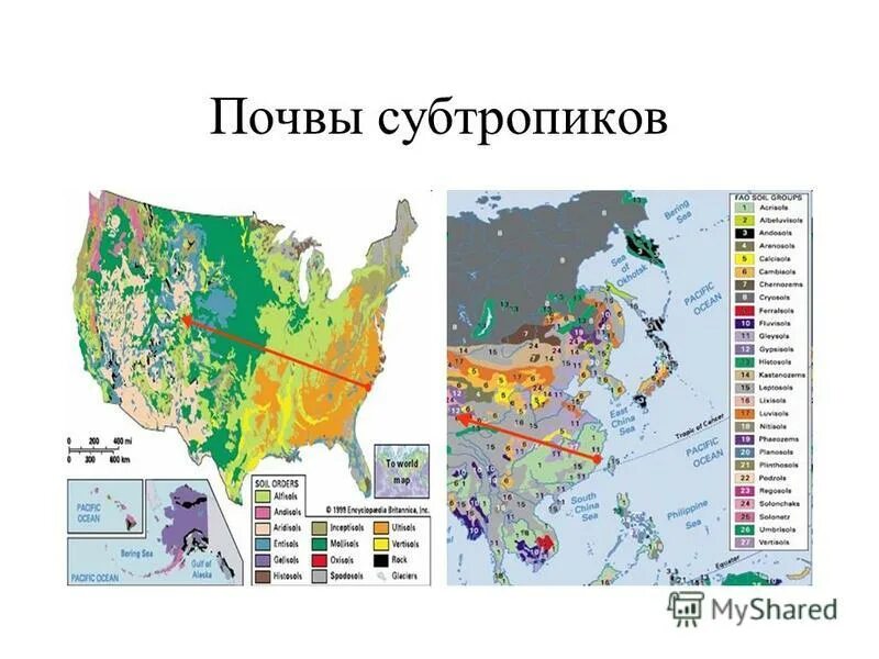 Почва субтропической зоны. Почвы субтропиков в России. Типы почв Северо Восточной Сибири. Типы почв Восточной Сибири. Субтропики Тип почвы.