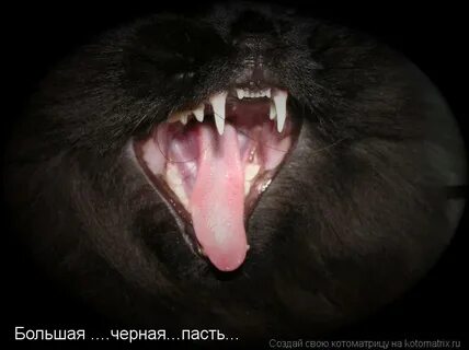 Велика пасть