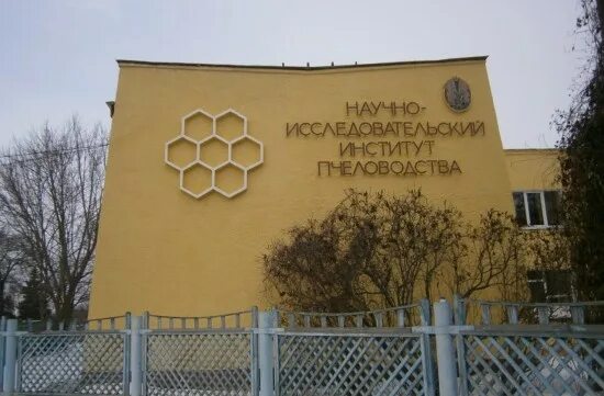 Институт пчеловодства рыбное. Рязанский научно-исследовательский институт пчеловодства. рыбное рязань институт пчеловодства. институт пчеловодства бутово. музей пчеловодства рыбное.