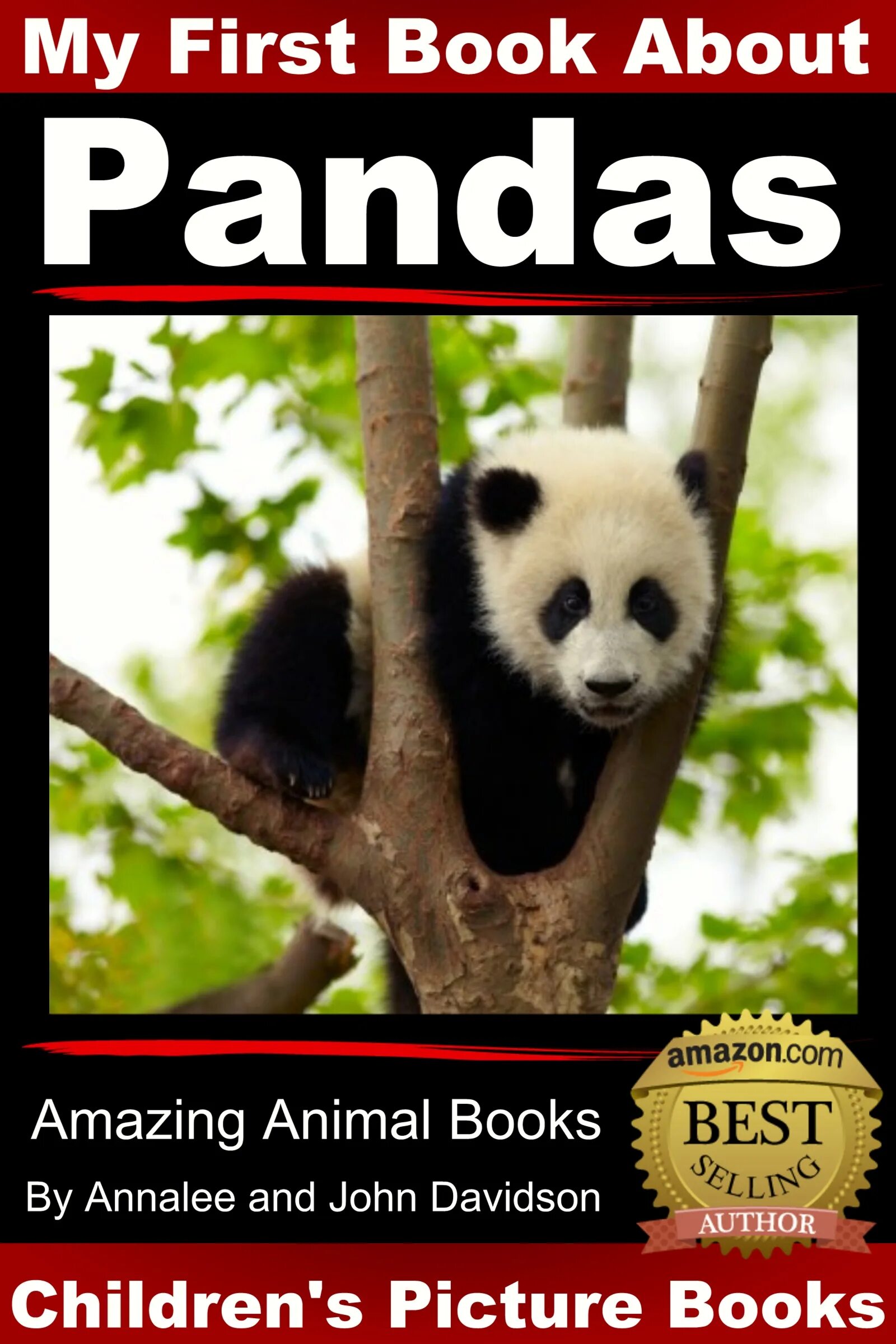 Pandas lambda. Pandas книга. книги по пандас. панда в сша. pandas книга на русском.