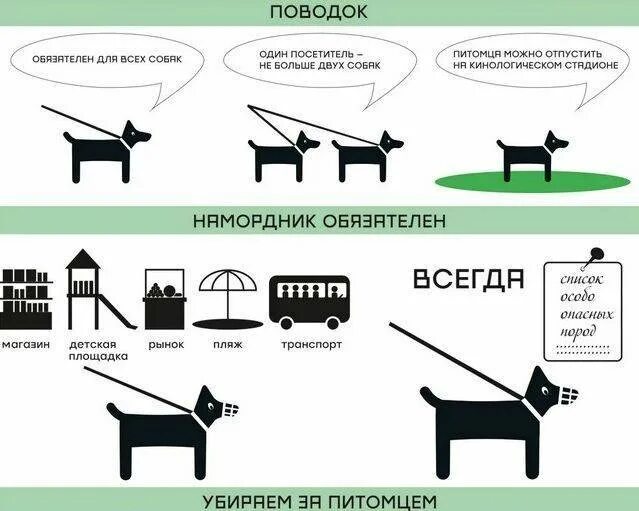 Закон о собаках в общественных. Выгул собак. правила выгула домашних животных. правила выгула собак. закон о домашних животных.