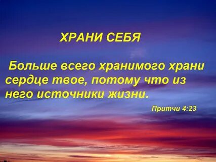 Даже 7