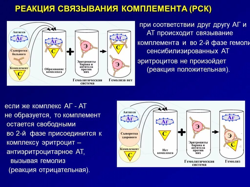 Комплемента рск. Реакция связывания комплемента схема. Схема постановки реакции связывания комплемента РСК. Серологические реакции (реакция связывания комплемента (РСК. Реакция связывания комплемента компоненты реакции.