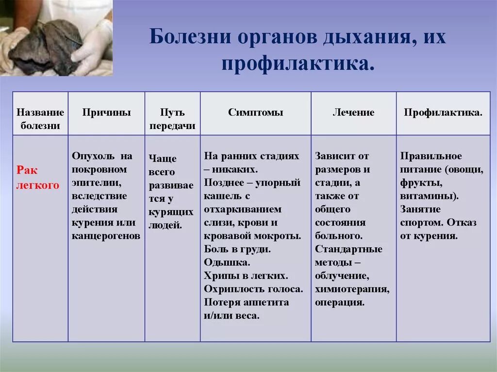 Заболевание тем не менее. Таблица название болезни симптомы, причины. Болезни органов дыхания симптомы причины профилактика. Название болезни дыхательной системы таблица. Болезни органов дыхания и их профилактика таблица.