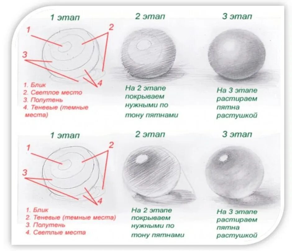 Тень полутень рефлекс в рисунке. Блик тень полутень рефлекс в рисунке. Свет полутень тень рефлекс в рисунке. Свет тень полутень рефлекс блик в рисунке. Схема света и тени