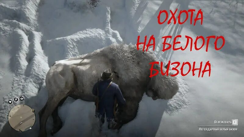 Легендарный бизон. Белый Бизон rdr 2. Легендарный Бизон rdr 2. Белый Бизон рдр2.