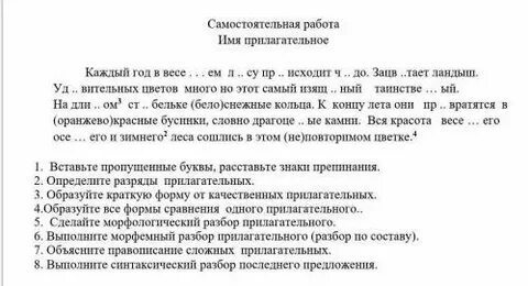 Самостоятельная работа по прилагательным 6 класс