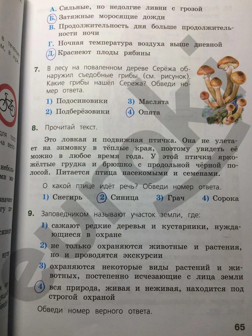 Решу впр 4 окружающий. Рабочая тетрадь по ВПР 4 класс окружающий мир. Гдз по окружающему миру ВПР. Тетради по ВПР 4 класс окружающий мир. Тетрадь по ВПР 4 класс по окружающему миру задания.