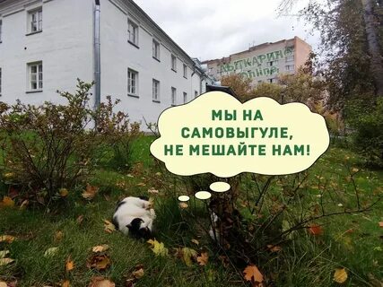 Интернет лыткарино
