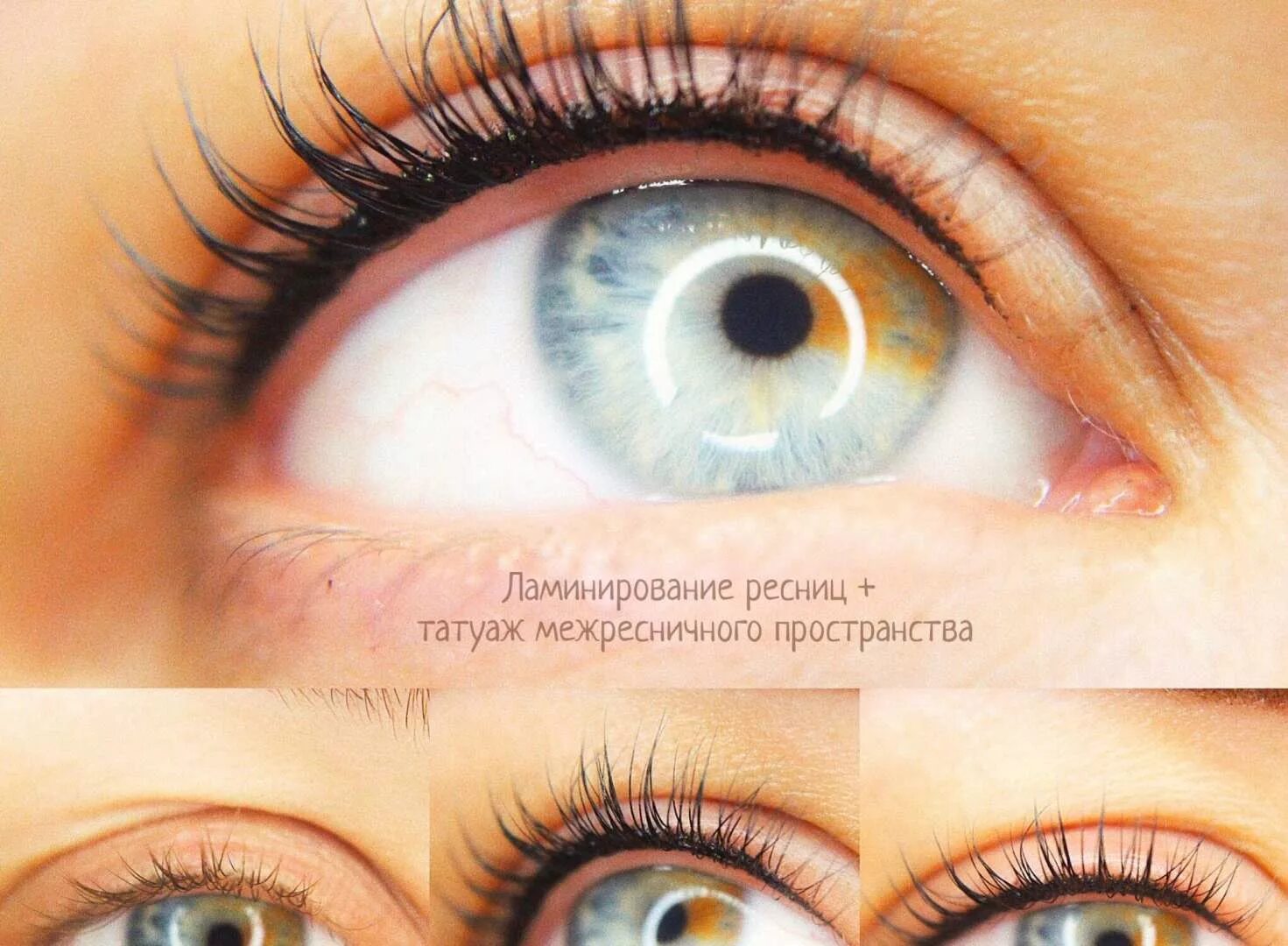 Долговременная укладка бровей. Перманентный макияж ресниц до и после. Ламинирование бровей до и после. Ламинирование ресниц до ипослн. Перманент реснички.