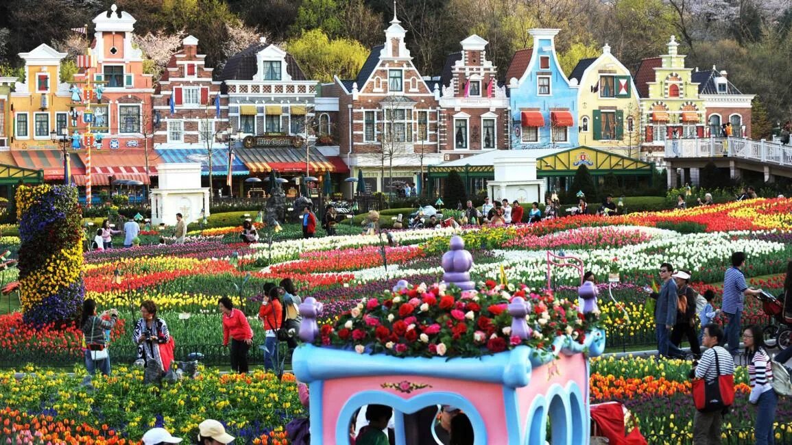 Everland достопримечательности республики корея. Парк аттракционов в корее эверленд. Everland парк корея. Эверленд корея. Эверленд южная корея.