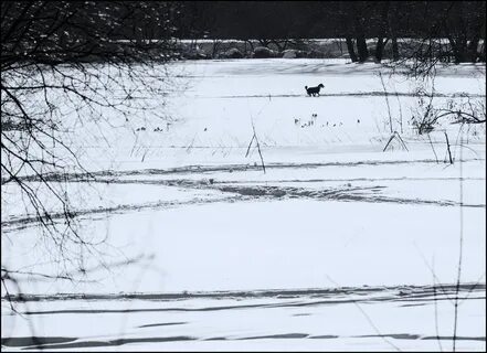 Белый мир 2