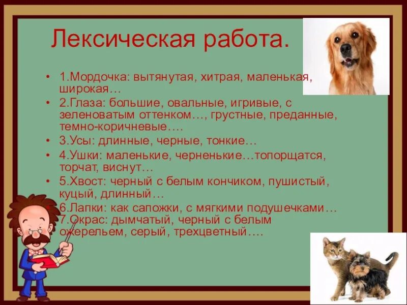 Описание животного 2 класс русский язык. Описание животного. План описания животного. Сочинение описание животного. Лексическая работа мордочка вытянутая.