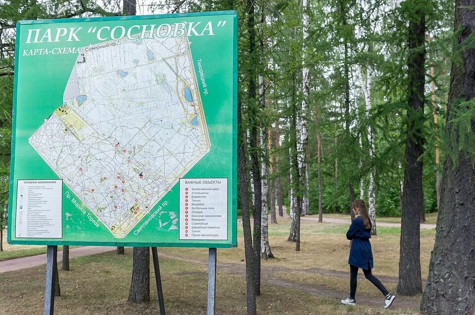 Сосновка ул. Рабочий поселок сосновка. Адрес сосновки. Сосновка белгород парк. Адрес сосновки.