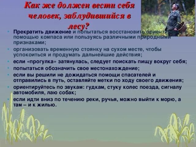 Памятка если ты заблудился васюткино озеро. Если заблудился в лесу памятка для детей. Памятка если заблудился в лесу. Памятка заблудившемуся в лесу. Памятка потерявшемуся в лесу.