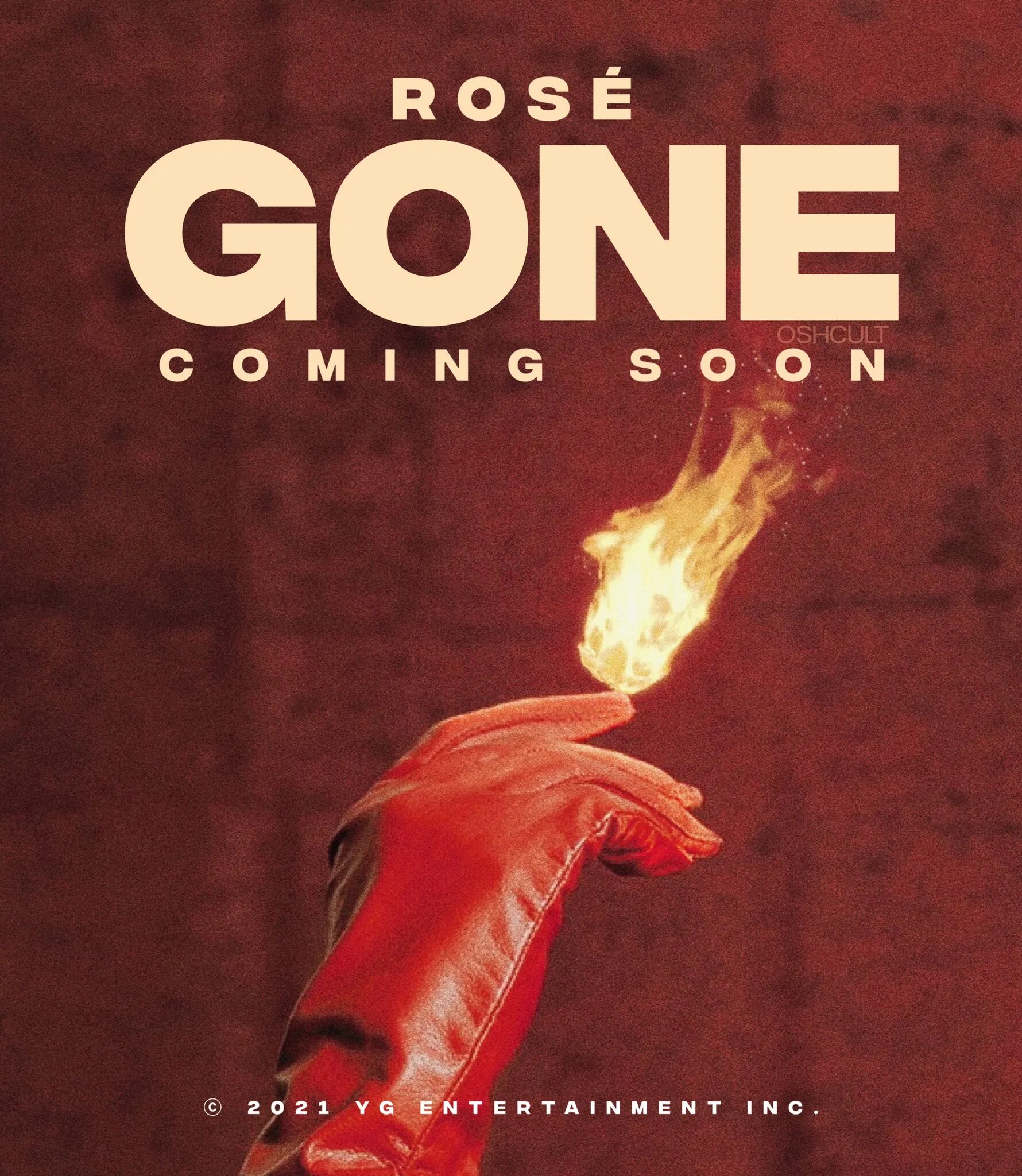 Rose gone. Rose gone обложка. Rose album.