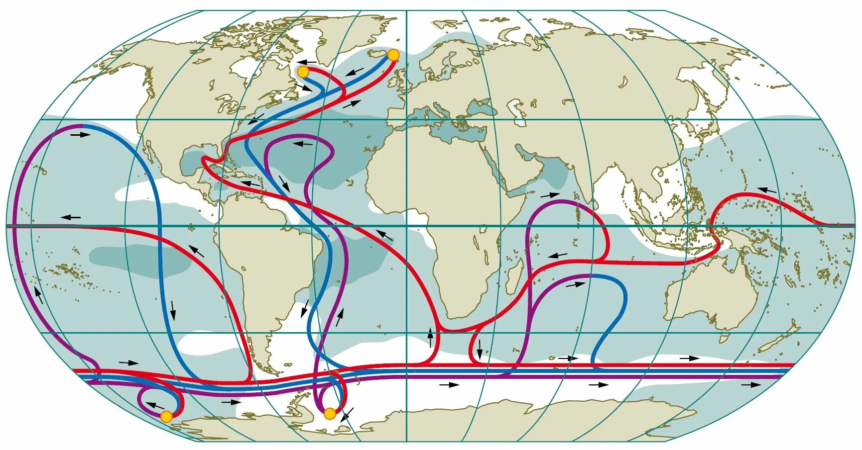 Крупные течения океанов. Циркуляция вод мирового океана. Циркуляция вод в мировом океане течения. Течение Гольфстрим на карте мирового океана. Циркуляция Гольфстрима.